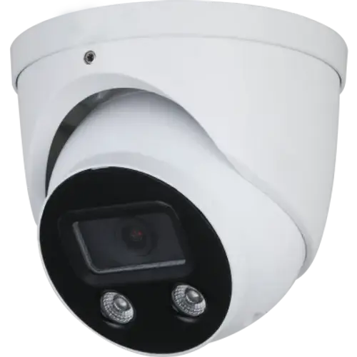 IP Eyeball Security Camera with IR Night Vision