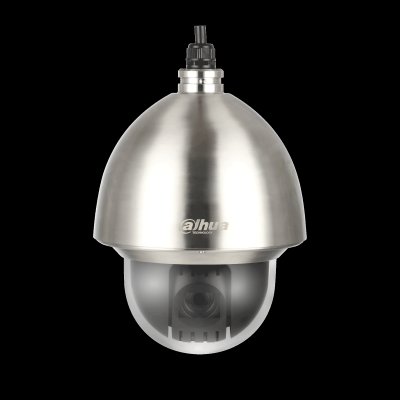 Dahua Mini PT Dome Camera